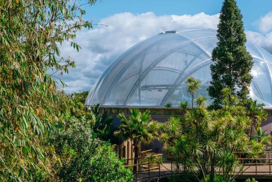 Auckland Zoo