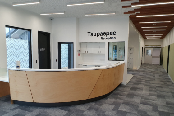 Palmerston North Mental Health