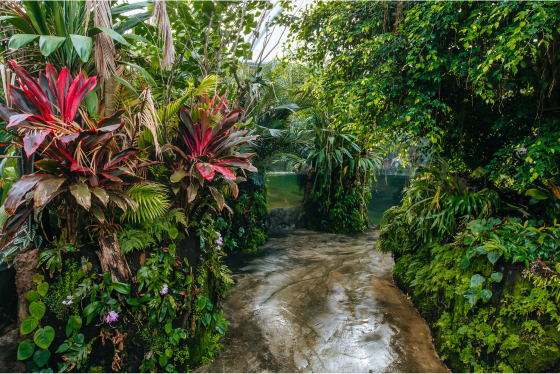 Sustainable Lighting Solution-1