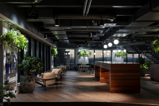 colliers office